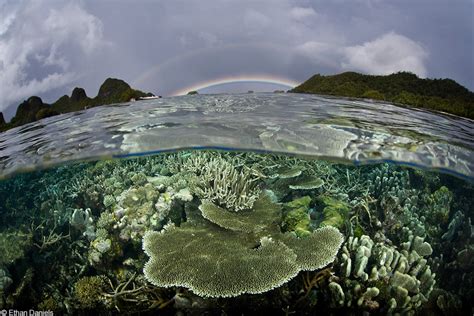 Announcing The Winners Of The First World Oceans Day Photo Contest