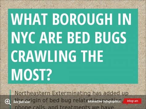 Infographic What Borough In Nyc Are Bed Bugs Crawling The Most Bed