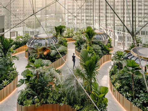 Biophilia Inspired ‘banking Conservatory Concept Anchors Citibank