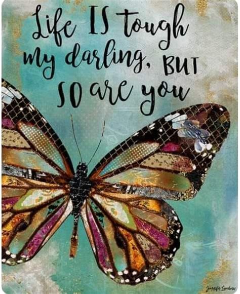 Pin By ȶօֆǟ քʍ On Quotes Plus Phrases Butterfly Quotes Life Is Tough Inspirational Quotes