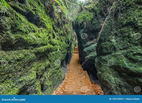 Gorge Overgrown With Moss Over A Narrow Rocky Path Stock Image Image