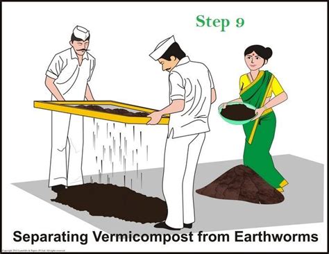 Vermicomposting Step By Step Procedure Farmer Junction