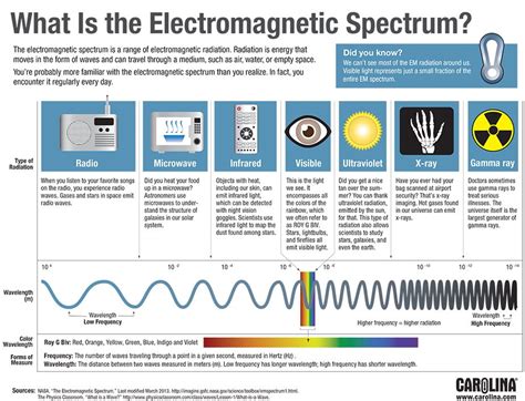 Infographic What Is The Electromagnetic Spectrum Carolina