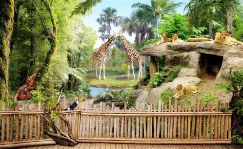 Zoo Animals Wallpapers Top Free Zoo Animals Backgrounds Wallpaperaccess