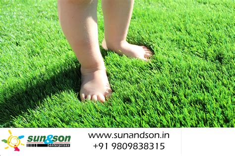 However, dog urine can leave stains and an unpleasant odor on the grass over time. Artificial Grass in Trivandrum in 2020 | Artificial grass ...