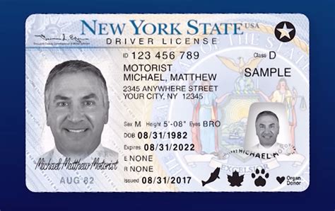 Buy New York Drivers License Darknet Bills Online
