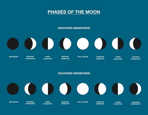 Homework Helper Phases Of The Moon By Bayer Us The Beaker Life
