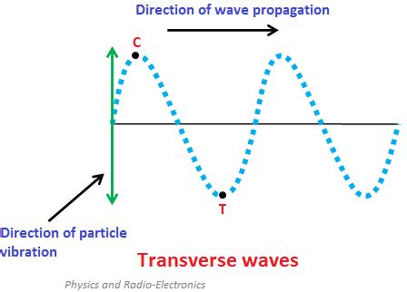 Transverse and longitudinal waves can be mechanical. Transverse and Longitudinal Waves