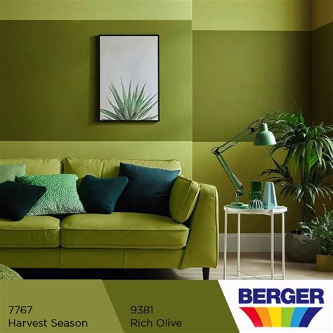 Berger Paints Wall Designs For Drawing Room