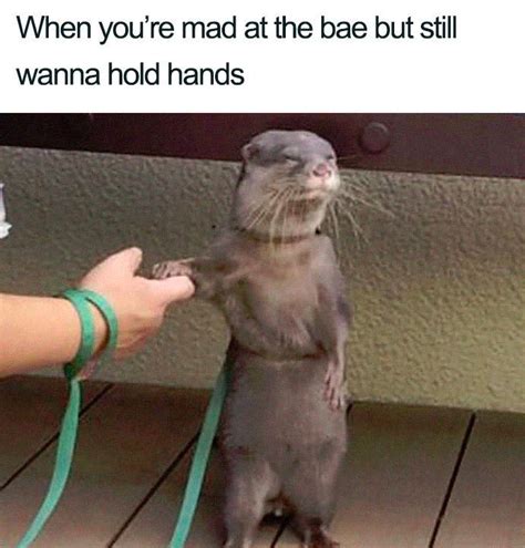 32 Relatable Relationship Memes That Are Funny Enough To Freshen Up