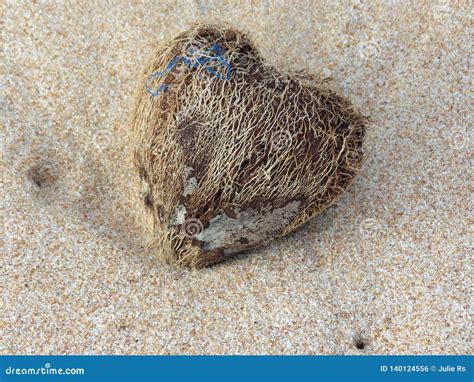 Coconut heart stock photo. Image of world, vacations - 140124556