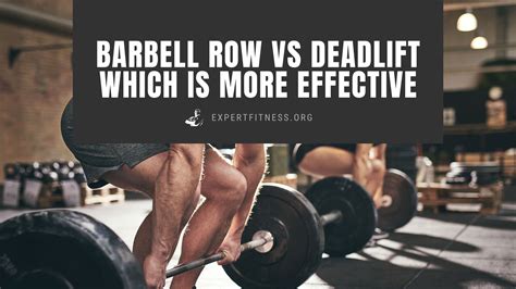 Barbell Row Vs Deadlift Which Is More Effective Expert Fitness