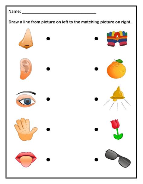 5 Senses Matching Worksheet Matching Worksheets Kindergarten