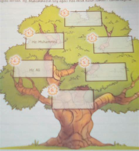 peygamberimizin soy ağacı Eodev com