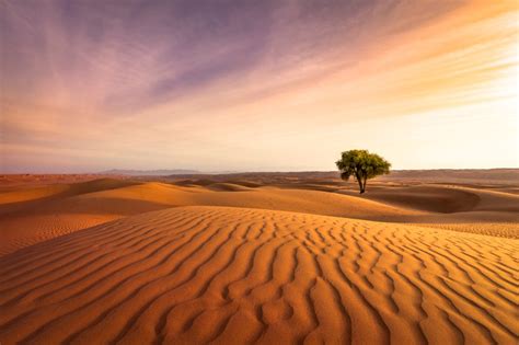 Simple Yet Impactful Landscape Photography Tips