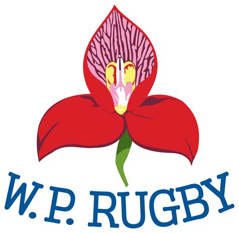 Western Province Rugby Logo Transparent Png Stickpng