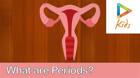 what is periods simple understanding of menstrual cycle stages of periods youtube