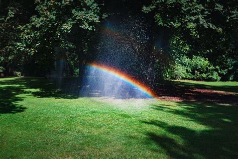 Three Amazing Things About Rainbows