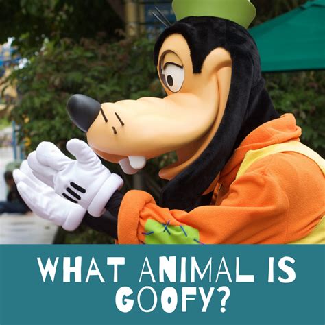 Top 24 Disney Goofy Mới Nhất Nông Trại Vui Vẻ Shop