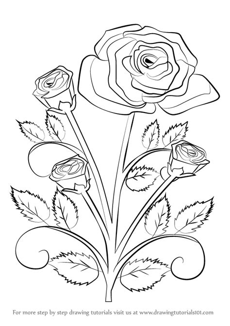 This is an easy rose for kids to draw based on simple shapes how to draw roses. Learn How to Draw a Rose Plant (Rose) Step by Step ...