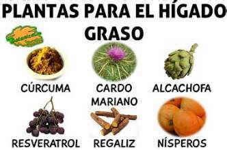 Los 10 alimentos para limpiar el hígado graso. Pin en Diet