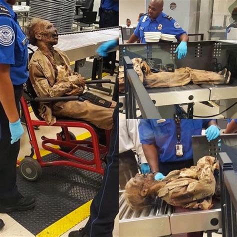 Craziest Things Found By Airport Security