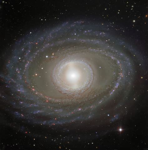 Spiral Galaxy Ngc 1398