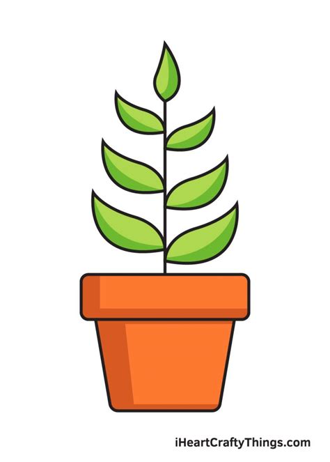 Plant Drawing How To Draw A Plant Step By Step