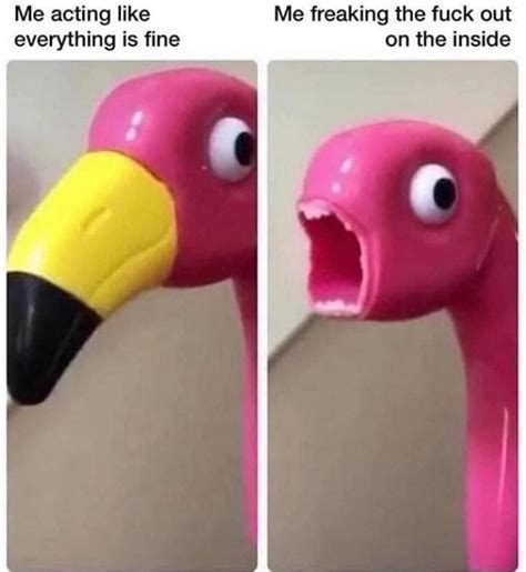 The Best Flamingo Memes Memedroid