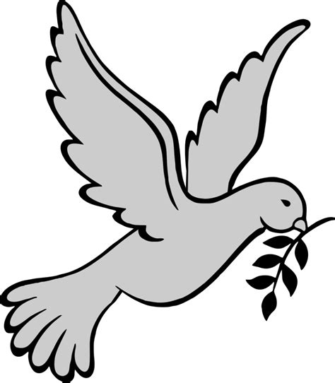 Transparent Background Dove Clipart Png 10 Free Cliparts Download