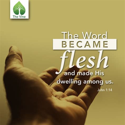 The Word Became Flesh John 110 18 — Vine Bible Study