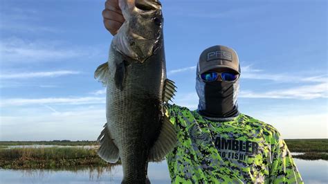 Summer Big Bass Fishing Charter In Central Florida Bass Online
