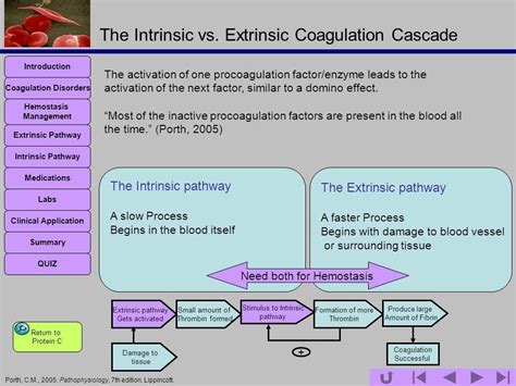 But what keeps your employees happy and engaged: Image result for intrinsic vs extrinsic pathway | Nursing ...