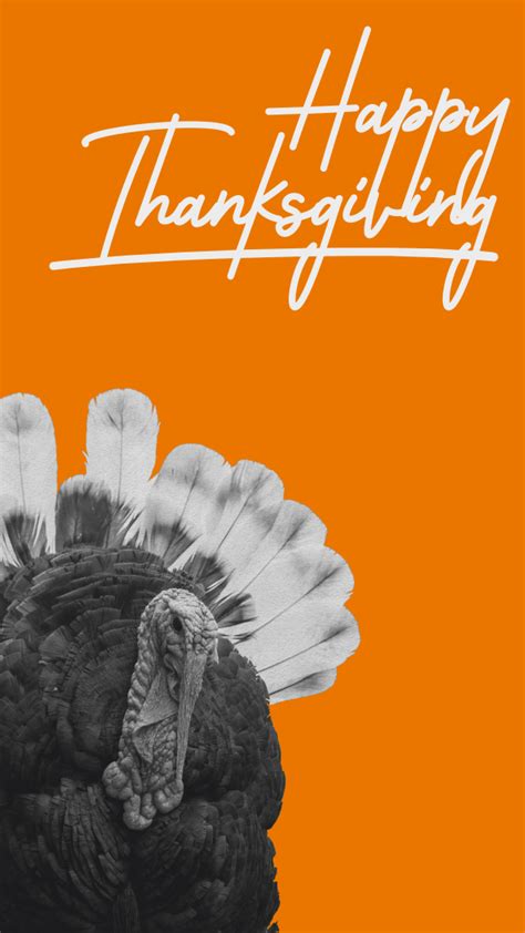 Orange Thanksgiving Turkey Instagram Story Brandcrowd Instagram Story