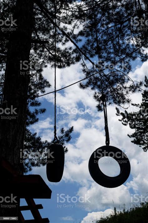 Old Tire Swings Childhood Memories Stock Photo Download Image Now