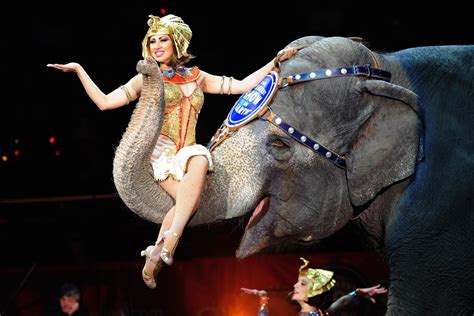Ringling Bros And Barnum And Bailey Circus Phasing Out Elephant Acts Nbc News