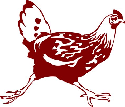 Free Vector Graphic Chicken Hen Running Brown Legs Free Image On