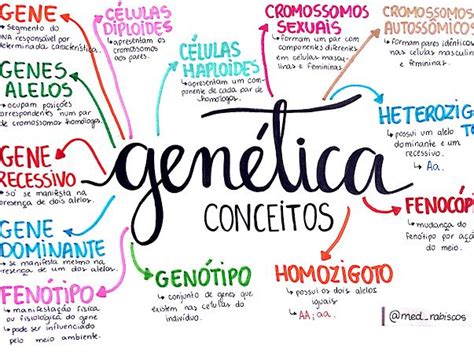 Biologia Google Drive Ensino de biologia Genética resumo Livros