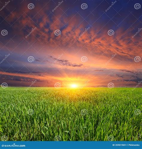 Sunset Over Green Meadow Stock Image Image Of Environment 35901969