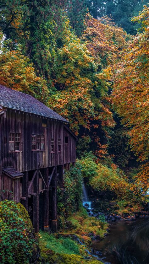 Free Download Fall Foliage Forest Watermill Hd Wallpaper