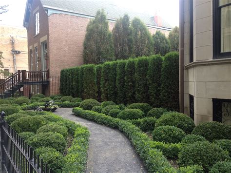7717 se 17th ave retaining wall smooth finish. Arborvitae Hedge | Сад, Цветники