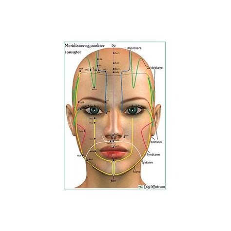 Meridianer Og Punkter I Ansigtet For Bagside Plancher Dig I Centrum