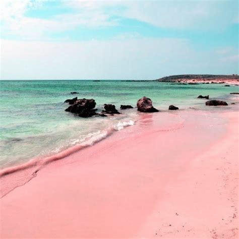 The Most Beautiful Pink Sand Beaches In The World Cond Nast Traveler
