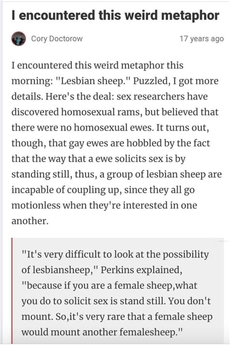 lesbian sheep r actuallesbians