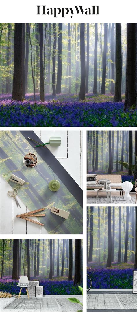 Bluebell Sunrise Wallpaper Happywall Gray Green Tree Forest