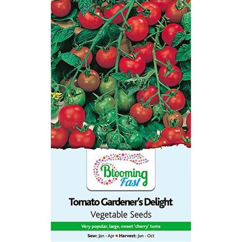 Tomato Gardeners Delight Packet Of Seed Gardening Direct