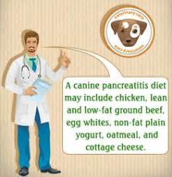 Suchen low fat dog food. Food Recipes for Dogs with Pancreatitis | Make dog food ...