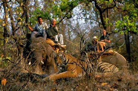 Holiday Packages India Bandhavgarh Delhi Tour Package