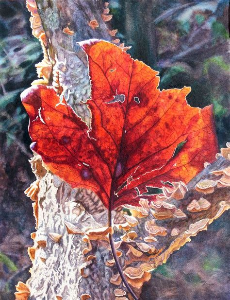Art By Cathy Hillegas Watercolor Paintings Autumn Painting Painting