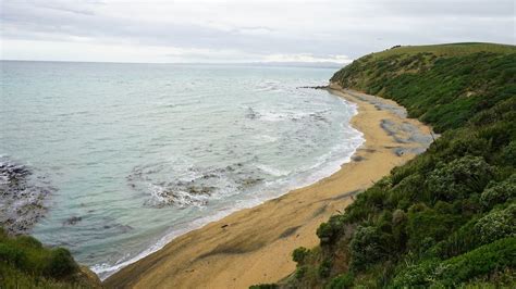 Receive technical support, learn more about popular topics and find resources that will help you with all of your ti support needs. 2019/12/09 紐西蘭南島｜公路旅行Day4：道路終於開通!前進 奧瑪魯 尋找企鵝的蹤跡 - YouTube